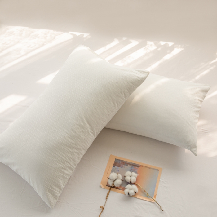 91家纺网 家纺一手货源 找家纺 安莱生活 2022新款不染单品枕套一只 小雨点