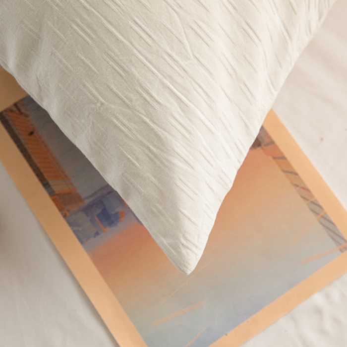 91家纺网 家纺一手货源 找家纺 安莱生活 2022新款不染单品枕套一只 小雨点