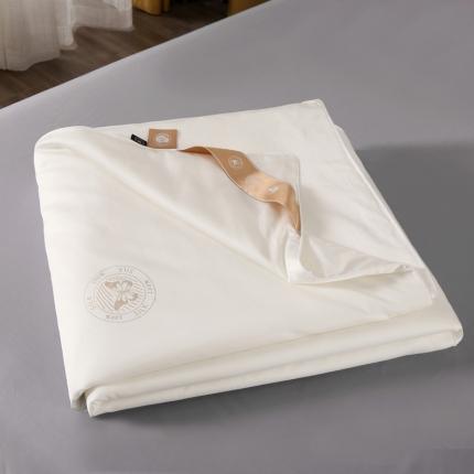 91家纺网 家纺一手货源 找家纺 （总）晋瑞 新款天丝洛丽塔蚕丝被