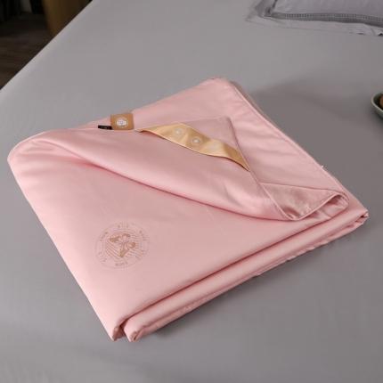 91家纺网 家纺一手货源 找家纺 （总）晋瑞 新款天丝洛丽塔蚕丝被