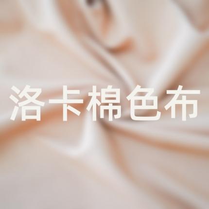 三禾布艺 2023新款面料90克宽幅化纤色布洛卡棉系列