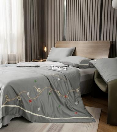 潮邦 2025新款水洗真丝刺绣花织带宽边夏被四件套-星钥 极光灰