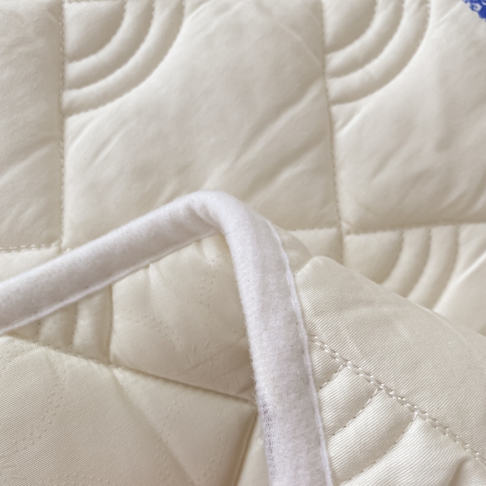 91家纺网 家纺一手货源 找家纺 鑫钰 2023新款全棉抗菌印花薄床垫 恐龙游记