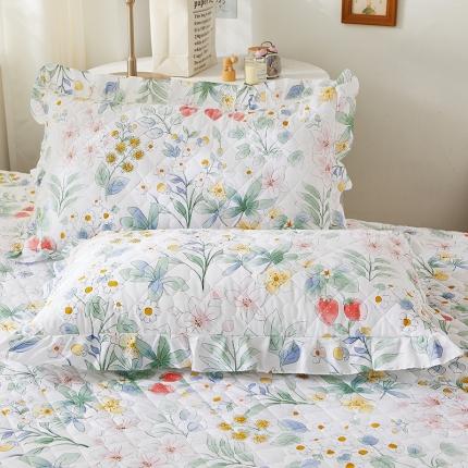 （总）十个点 2022新款全棉夹棉印花单枕套一对