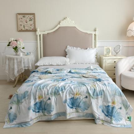 棉生活家纺 2022新款莫代尔天丝夏被 惊鸿仙子