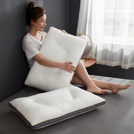 91家纺网 家纺一手货源 找家纺 （总）乐可 2022新款分区舒压枕-风格二