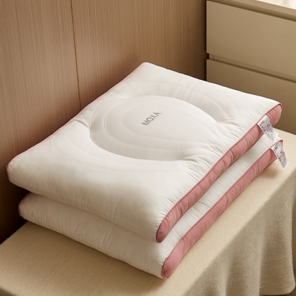 91家纺网 家纺一手货源 找家纺 （总）乐可 2022新款60支苹果美肌枕