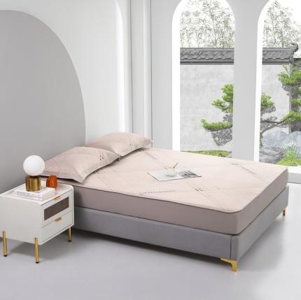 馨蕊 2022新款冰感席 英伦时光-咖床笠款