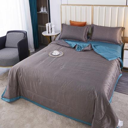 91家纺网 家纺一手货源 找家纺 （总）丽卡家纺 2024新款水洗真丝夏被四件套