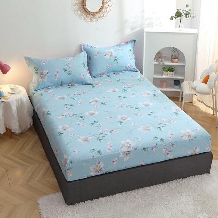 晶缦 2022新款全棉12868全棉印花套件萌新系列单床单-单床笠 莫里蓝