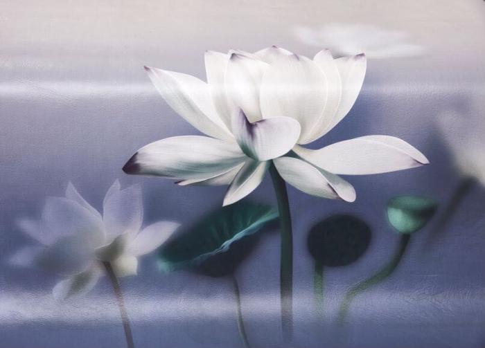 91家纺网 家纺一手货源 找家纺 头层彩绘牛皮席 水牛皮 牛皮凉席 头层牛皮  凉席