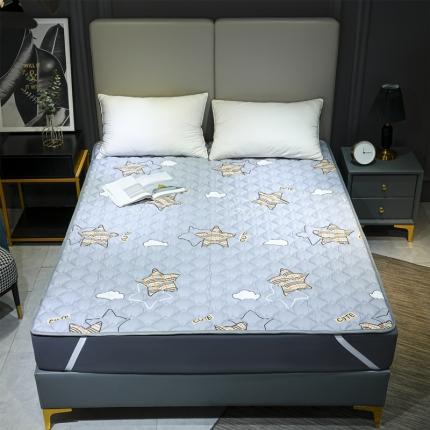 91家纺网 家纺一手货源 找家纺 （总）索弗莱 全棉印花纯棉床垫加厚床褥子