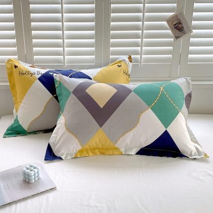 拾物记  2022新款A类12868全棉喷气印花系列单枕套 爱尔威