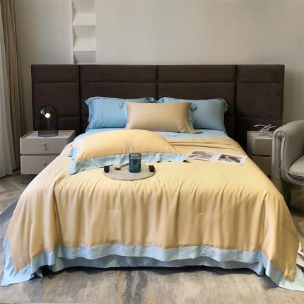 初拾 2022新款莫代尔零度夏被—知夏系列 知夏-春泥黄