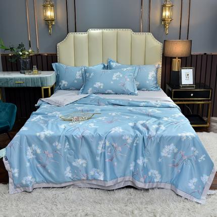 梦柏 2022新款水洗天丝夏被四件套 初夏