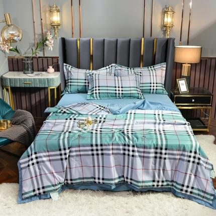 梦柏 2022新款水洗天丝夏被四件套 都市格调（兰）