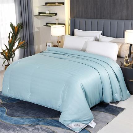 91家纺网 家纺一手货源 找家纺 芭芭棉 2025新款高端双宫茧桑被 珊瑚绿