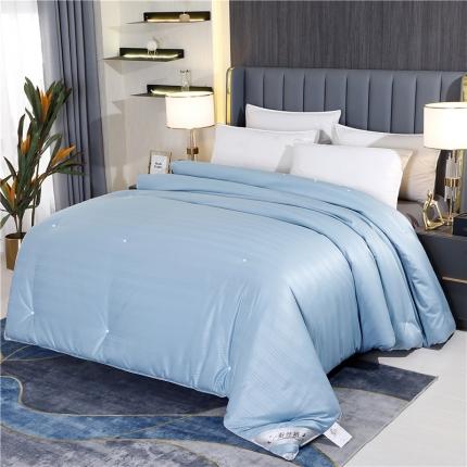 91家纺网 家纺一手货源 找家纺 芭芭棉 2025新款高端双宫茧桑被 深玉蓝