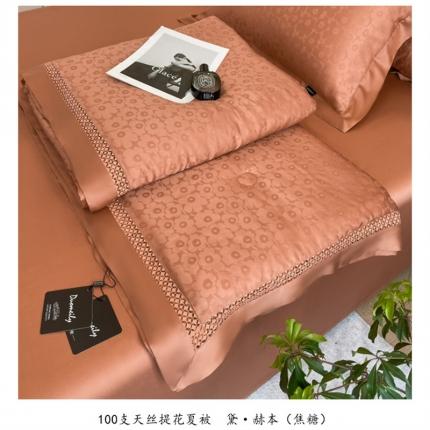 91家纺网 家纺一手货源 找家纺 （总）朵美2025新款100支天丝提花（黛·赫本）系列单夏被