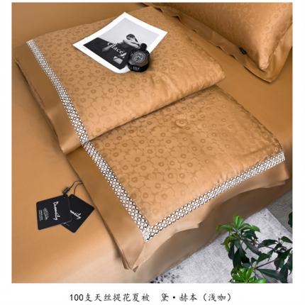 91家纺网 家纺一手货源 找家纺 （总）朵美2025新款100支天丝提花（黛·赫本）系列单夏被