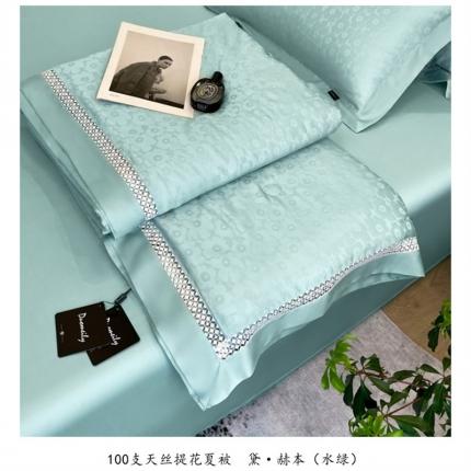 91家纺网 家纺一手货源 找家纺 （总）朵美2025新款100支天丝提花（黛·赫本）系列单夏被