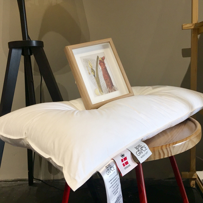 91家纺网 家纺一手货源 找家纺 （总）方回家纺 2022新款全棉超柔羽丝绒云柔枕