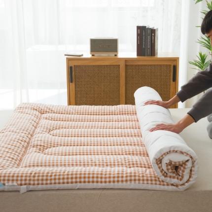 91家纺网 家纺一手货源 找家纺 一条棉被 2022新款亲肤水洗棉床垫 格子粉