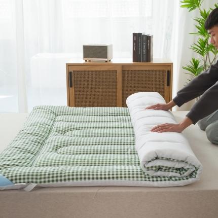 91家纺网 家纺一手货源 找家纺 一条棉被 2022新款亲肤水洗棉床垫 格子绿