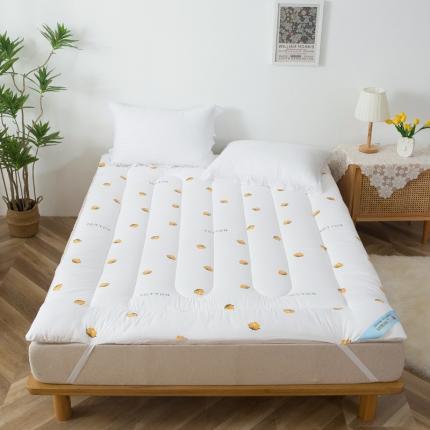 91家纺网 家纺一手货源 找家纺 一条棉被 2022新款亲肤水洗棉床垫 棉花朵朵