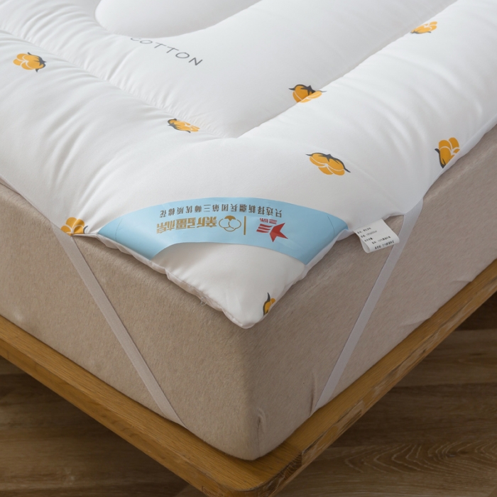 91家纺网 家纺一手货源 找家纺 一条棉被 2022新款亲肤水洗棉床垫 棉花朵朵