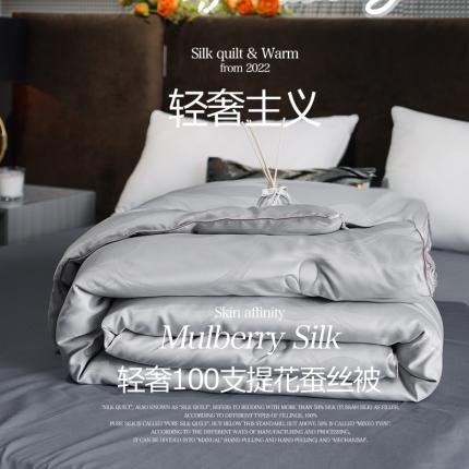 91家纺网 家纺一手货源 找家纺 2025新款轻奢100支大提花蚕丝被 火山灰