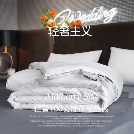 91家纺网 家纺一手货源 找家纺 2025新款轻奢100支大提花蚕丝被 云石白