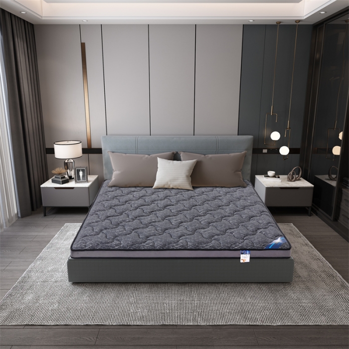 91家纺网 家纺一手货源 找家纺 时奥 2022新款床垫棕垫-M22-1(包邮)