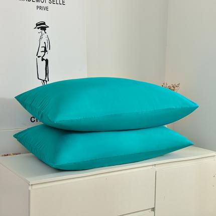 91家纺网 家纺一手货源 找家纺 极梦 2025新款纯色水洗棉磨毛单枕套枕头保护套