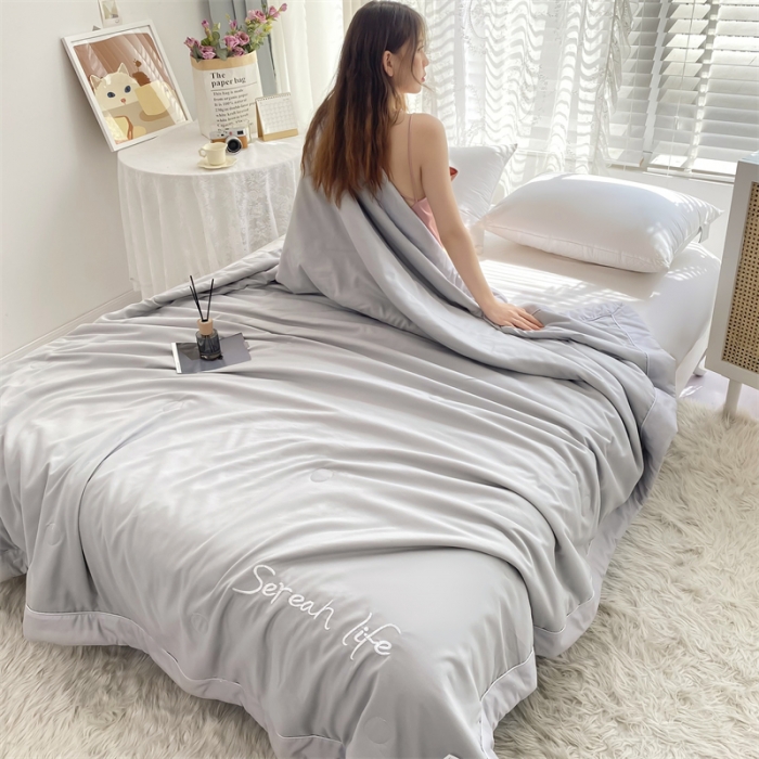 91家纺网 家纺一手货源 找家纺 米乐被业 2025新款凉感绣花大豆夏被空调被被子被芯浅灰