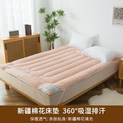 一条棉被 2022新款亲肤水洗棉床垫 格子粉