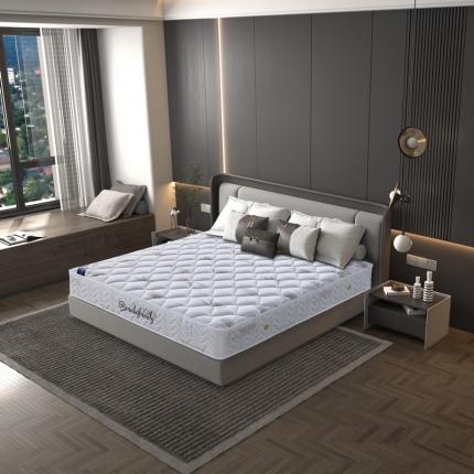 时奥 2022新款弹簧床垫-S22（针织面料） 独立弹簧+1.2棕(21cm)