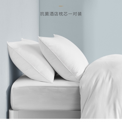91家纺网 家纺一手货源 找家纺 新款全棉五星级酒店枕立体纯白羽丝绒枕