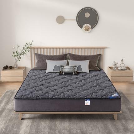 时奥 2022新款弹簧床垫-M22（针织面料） 独立弹簧+1.2棕+2.0乳胶(23cm)