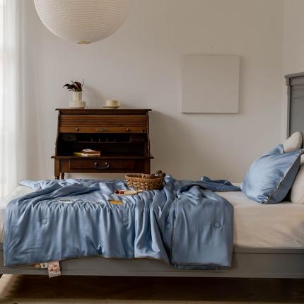 汇庭 2022新款单人绣花天丝夏被子被芯 宇航员