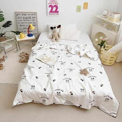 汇庭 2022新款A类儿童印花大豆夏被被子被芯 掌门狗