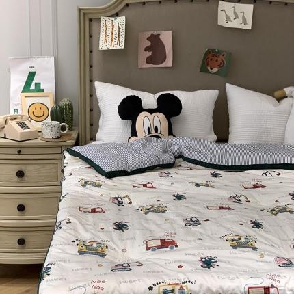 汇庭 2021新款长绒棉冬被 汽车总动员AB