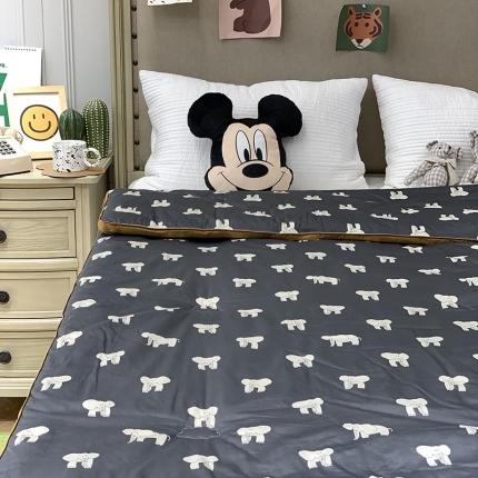 汇庭 2021新款长绒棉冬被 象多多