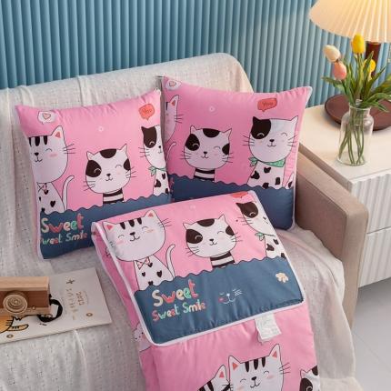 91家纺网 家纺一手货源 找家纺 枕芯真意 2023新款精疏棉抱枕被甜蜜蜜