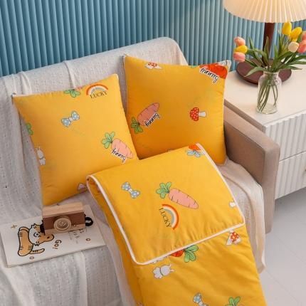 91家纺网 家纺一手货源 找家纺 枕芯真意 2023新款精疏棉抱枕被胡萝卜