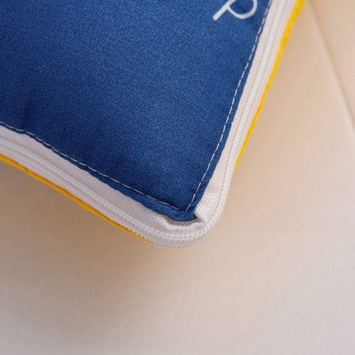 91家纺网 家纺一手货源 找家纺 枕芯真意 2023新款精疏棉抱枕被暴富呀