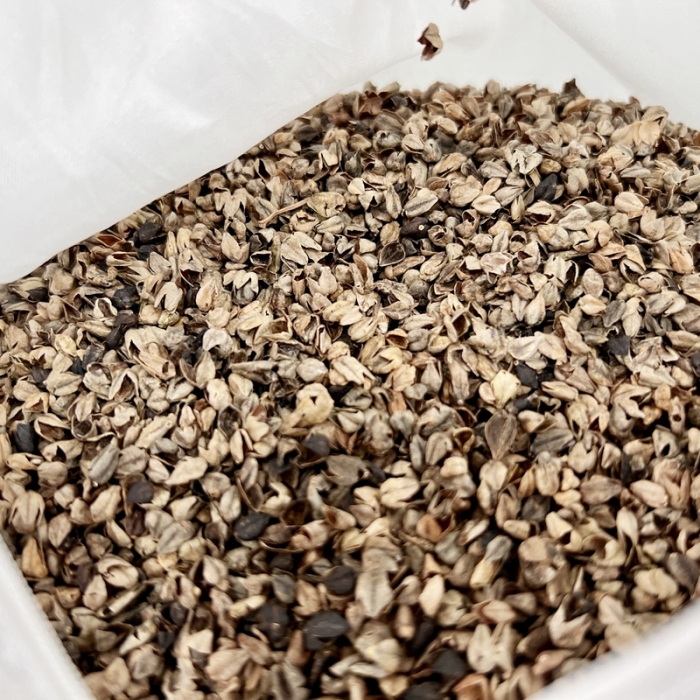 91家纺网 家纺一手货源 找家纺 （总）伟邦枕芯 2023新款韩式猫耳全荞麦枕30×58cm