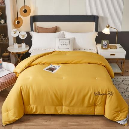 91家纺网 家纺一手货源 找家纺 总2024新款洛卡棉蚕丝夏被纯手工被子被芯冬被春秋被夏被