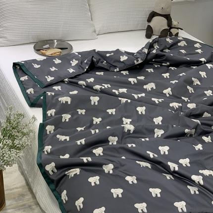 汇庭 2021新款60sA类长绒棉大豆抗菌棉夏被 象多多