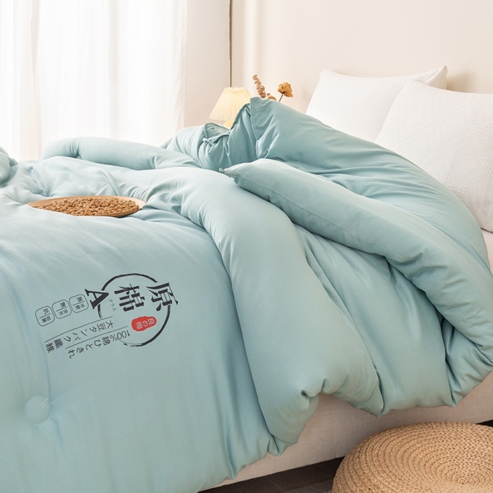 91家纺网 家纺一手货源 找家纺 盈超 2023新款原棉水洗棉大豆被被子被芯 湖蓝